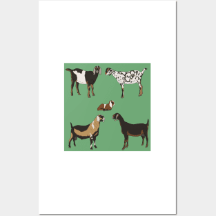 Nubian Goats Pattern Sage Posters and Art